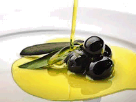 Aceite de oliva denominación de origen Bajo Aragón